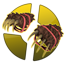 3_bear_claws.png
